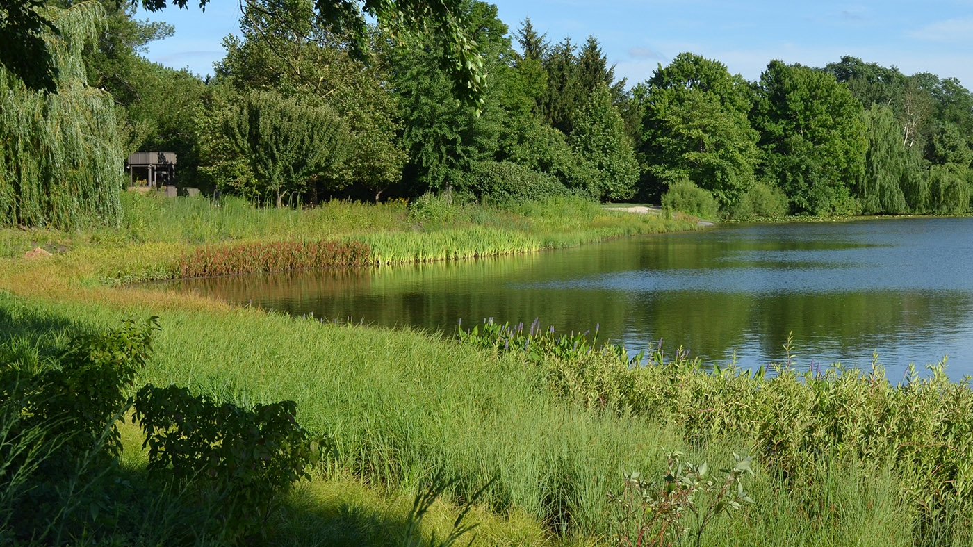 Adult Ed Horticulture Shoreline restoration