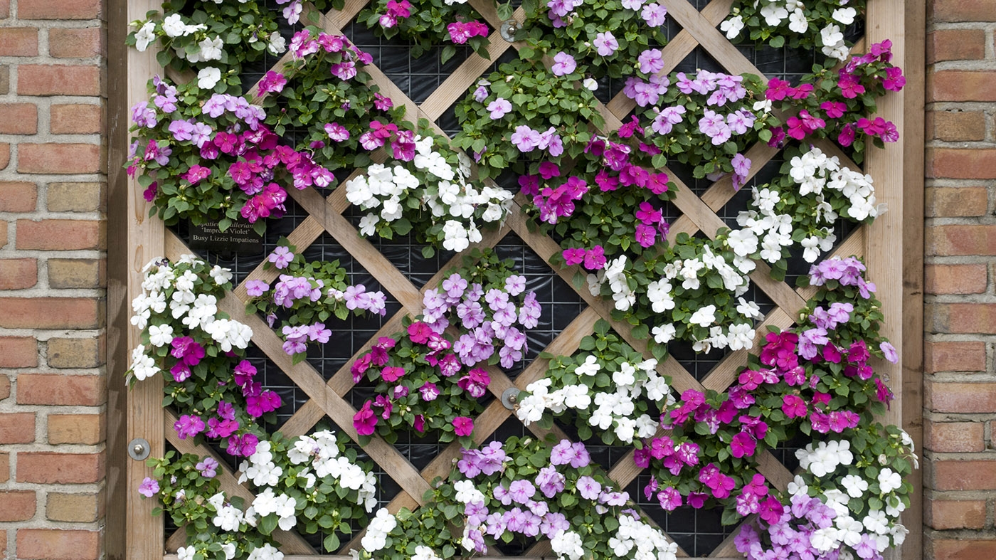 Adult Ed Horticulture Vertical Gardening