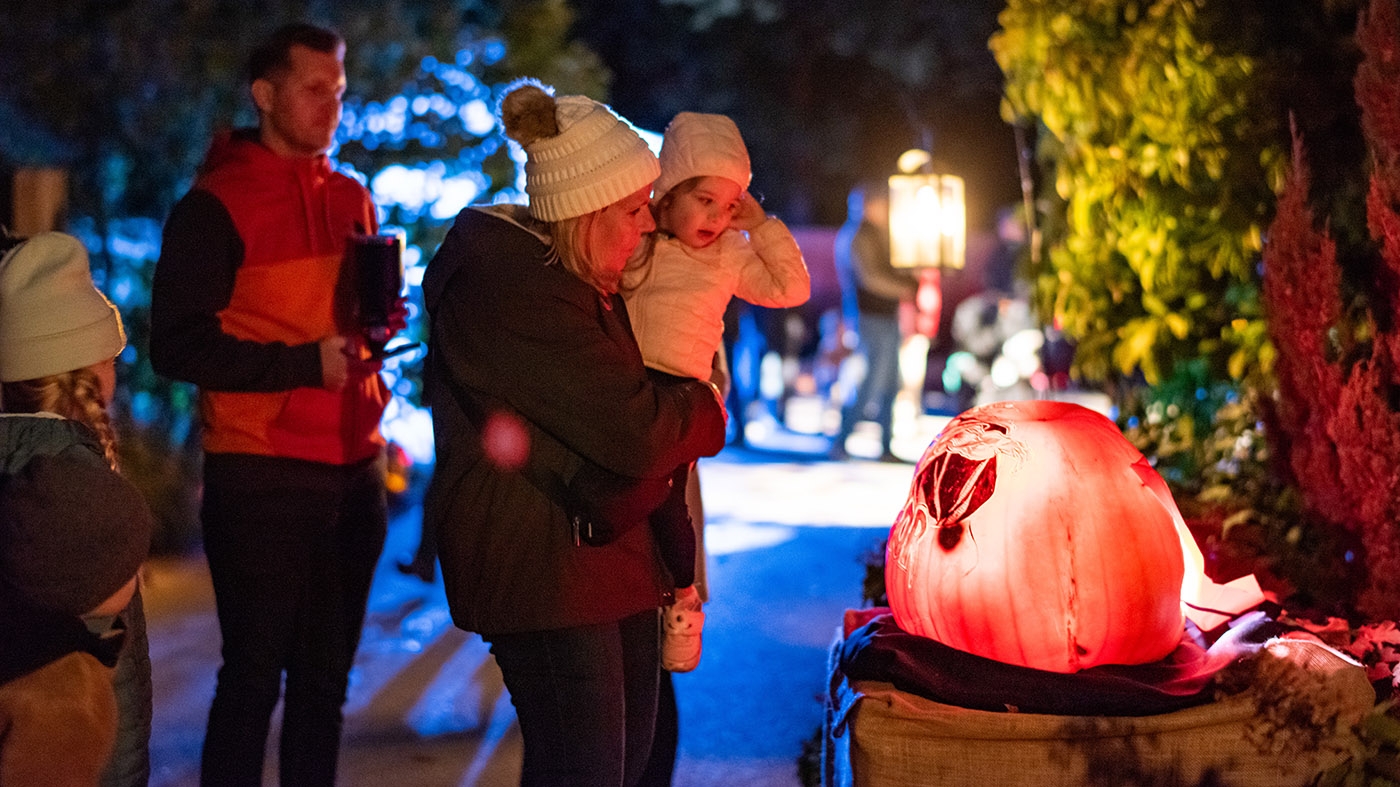 Night of 1000 Jack o' Lanterns
