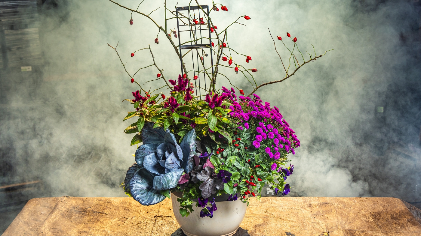 flower arrangement october