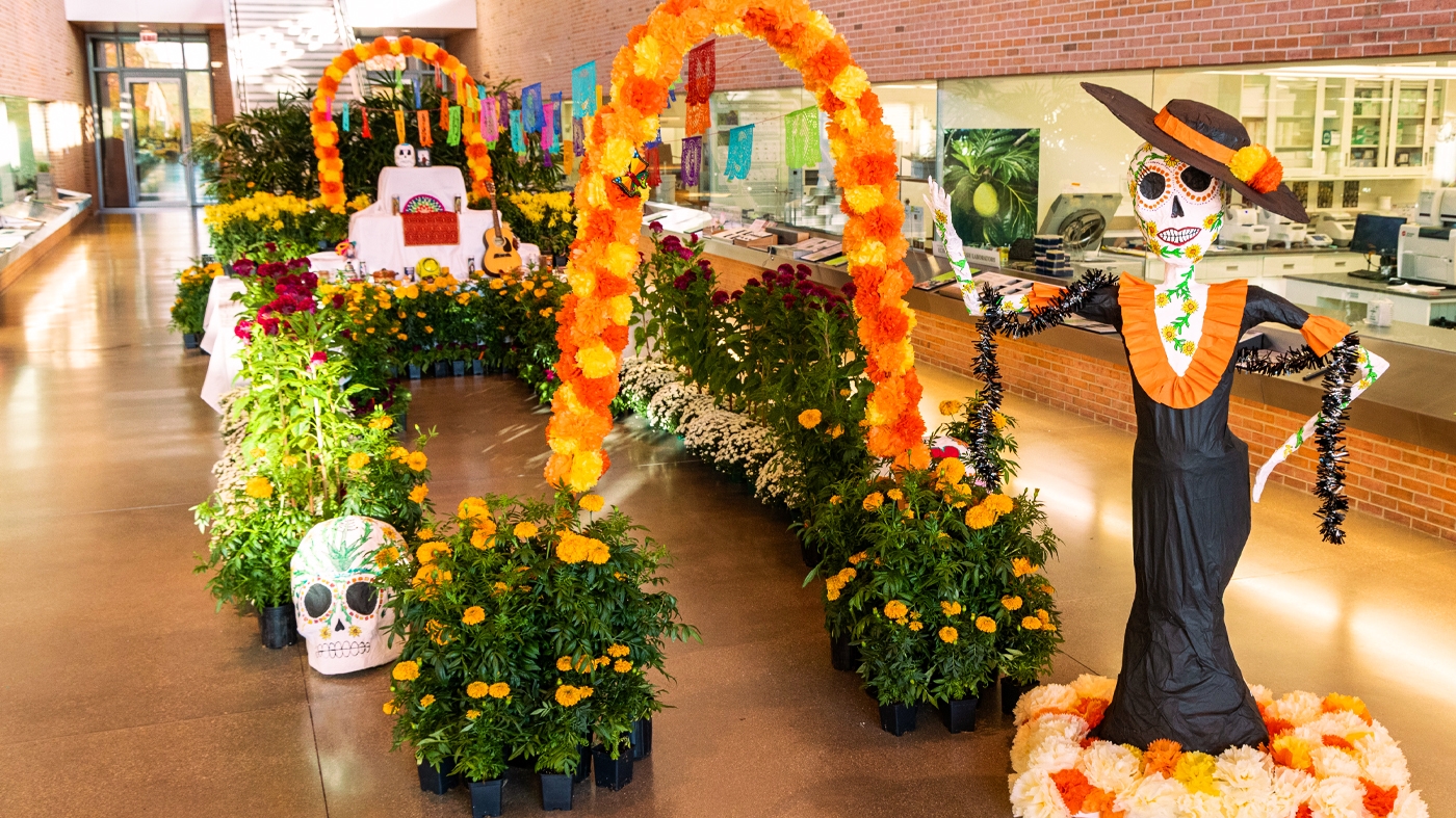 dia-de-los-muertos-october-2025