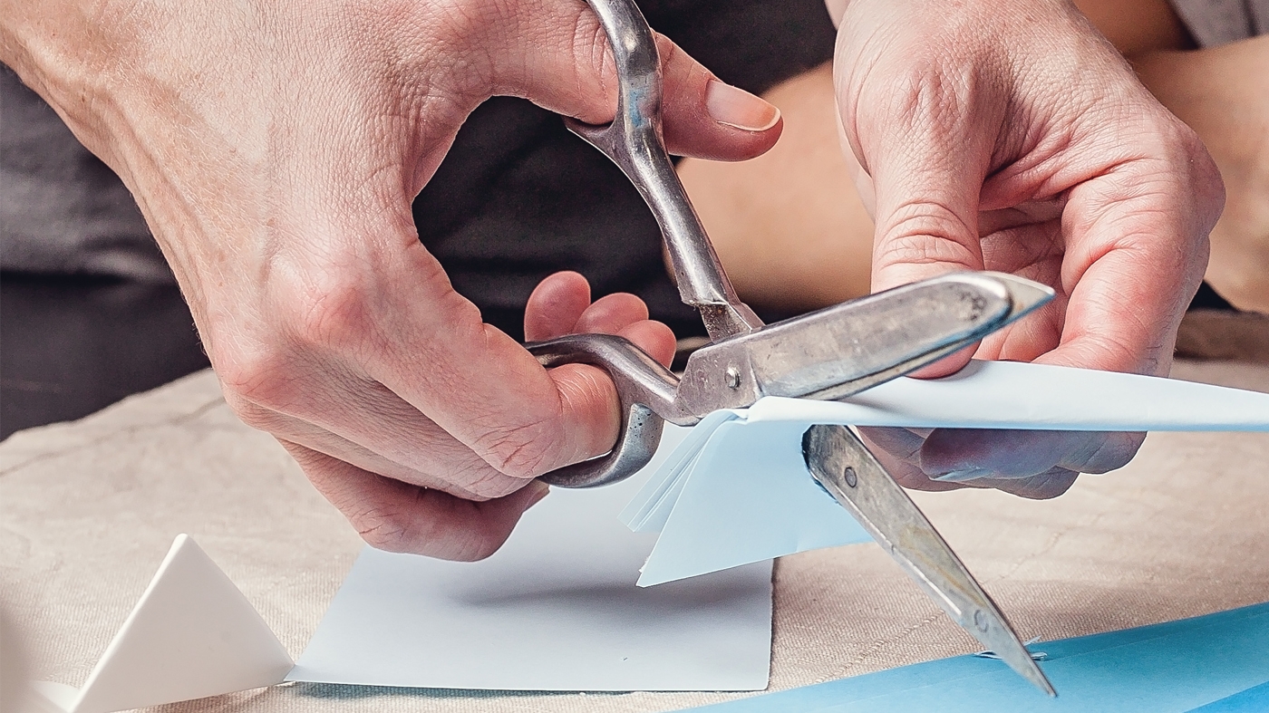 Learning Botanical Arts Paper Art