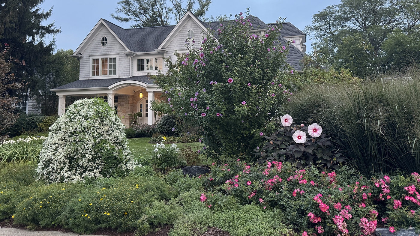 Adult Ed | Garden design | power of color