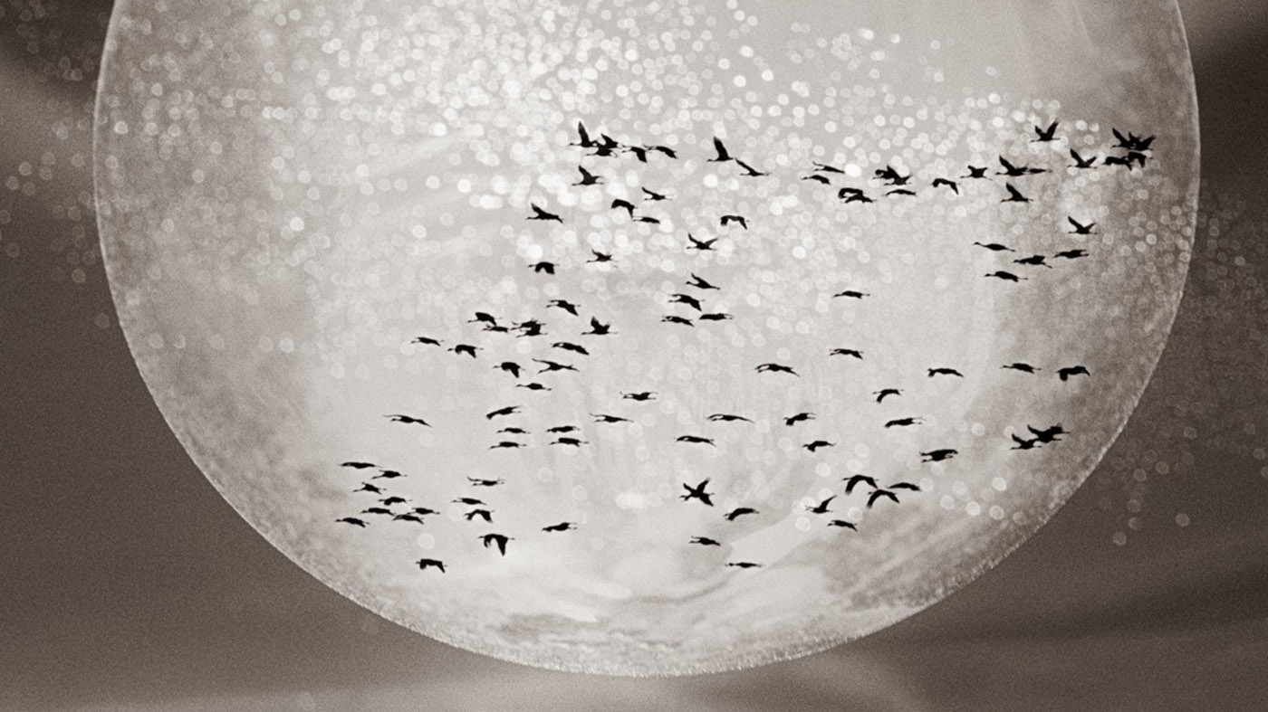 Adult Ed | Photography | Pictorialism in Photography