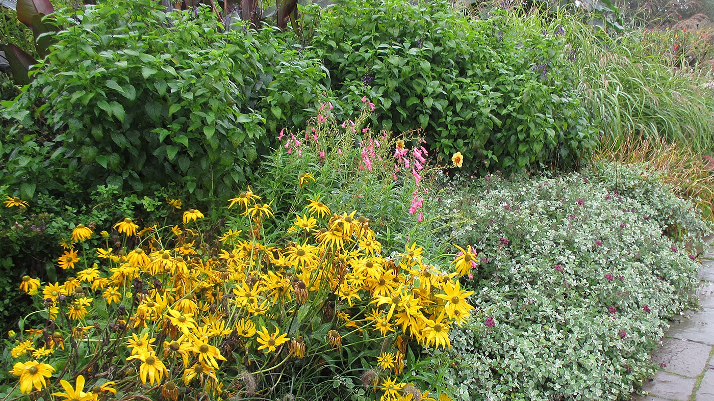 Designing with plant layers