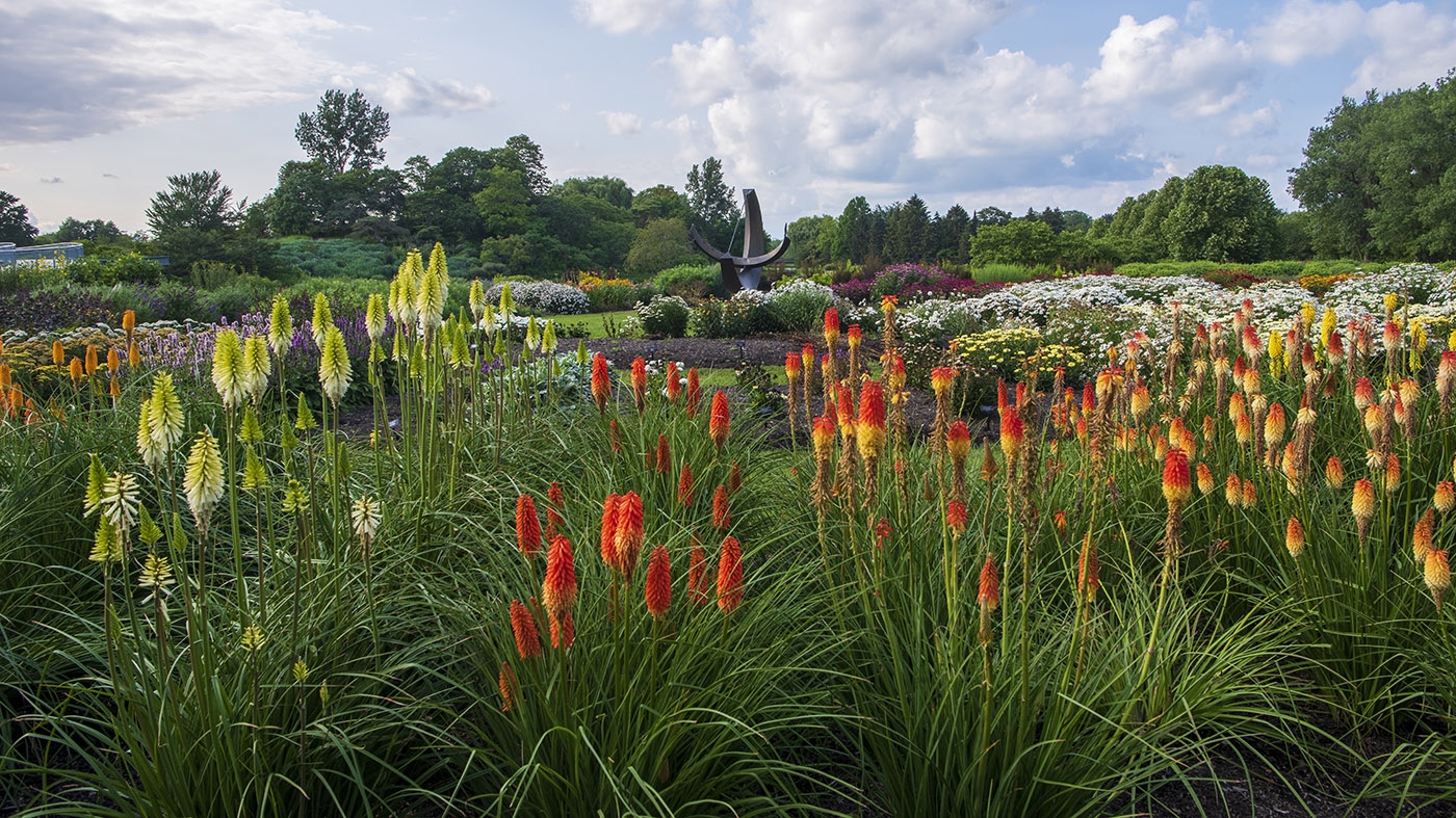 Adult Education | Garden design