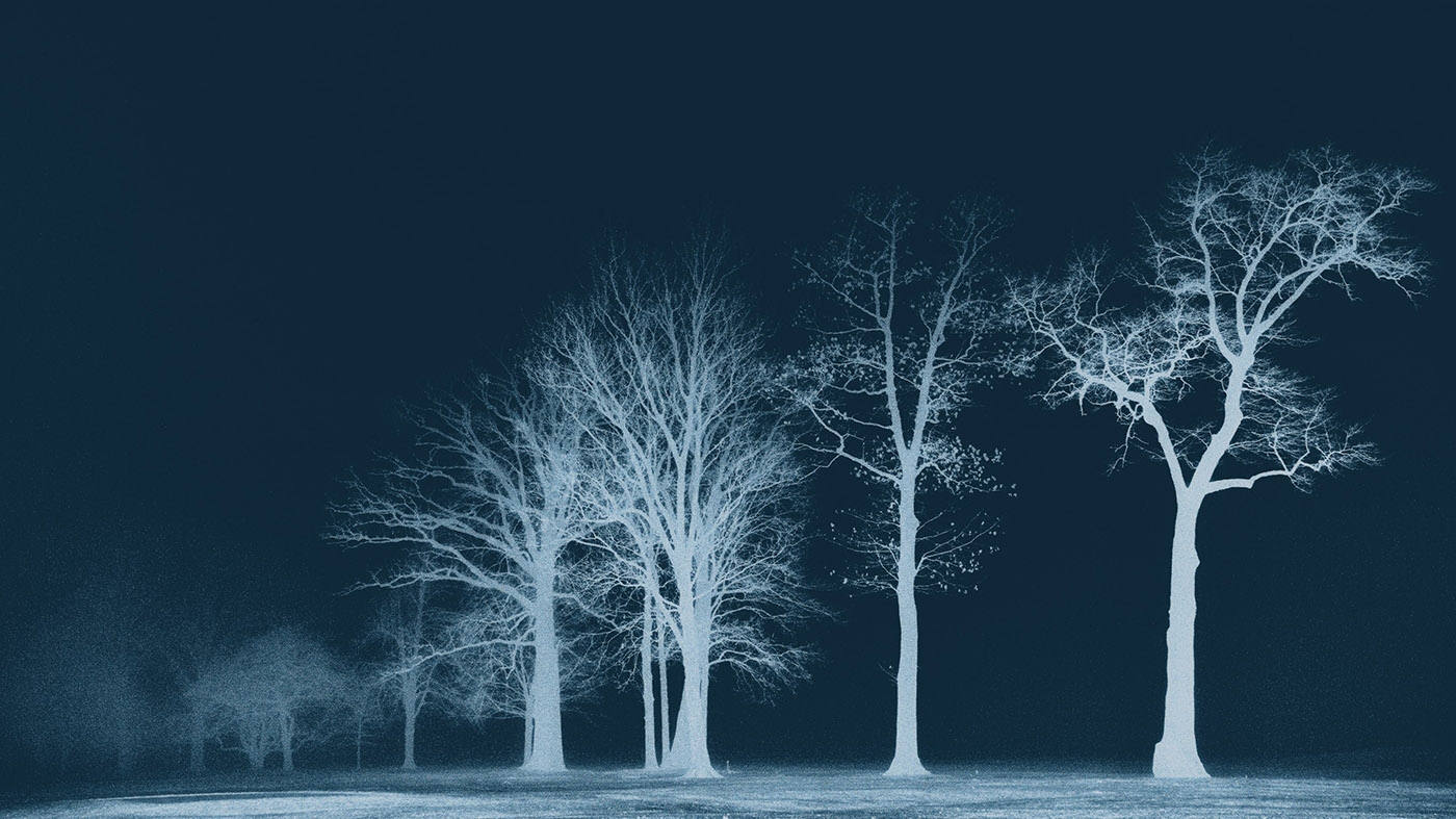 Adult Ed | Photography | Shades of blue