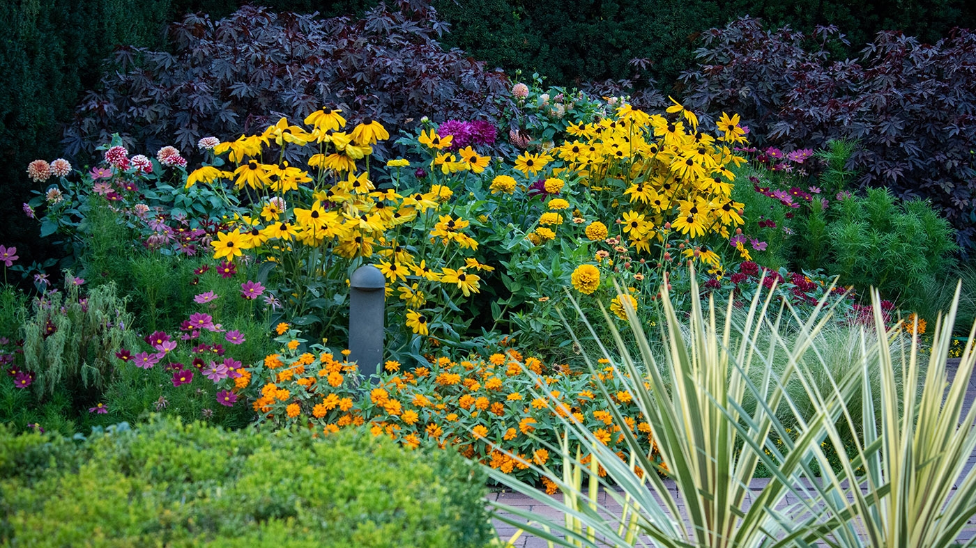 Adult Education | Garden design