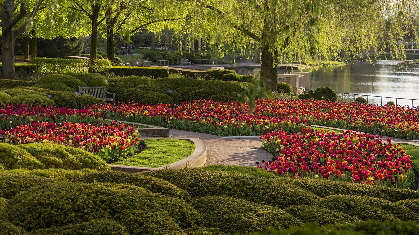 Adult Ed | Photography | Photographing signs of spring