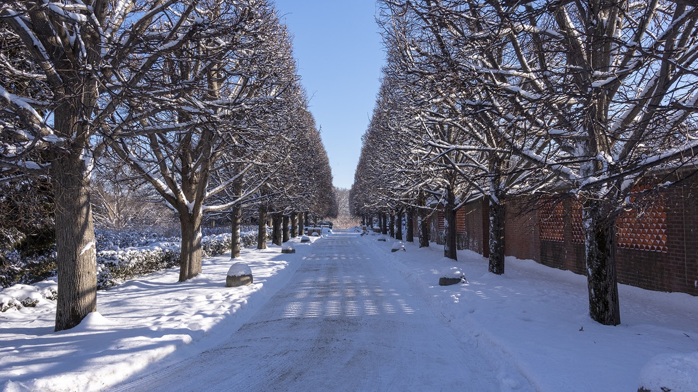 Adult Ed | Photography | Photographing winter contrasts