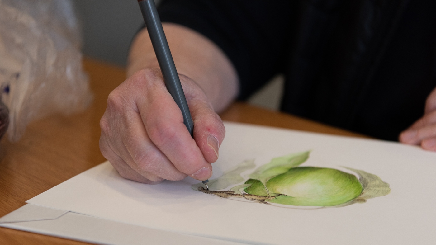 Learning Botanical Arts Ink Drawing