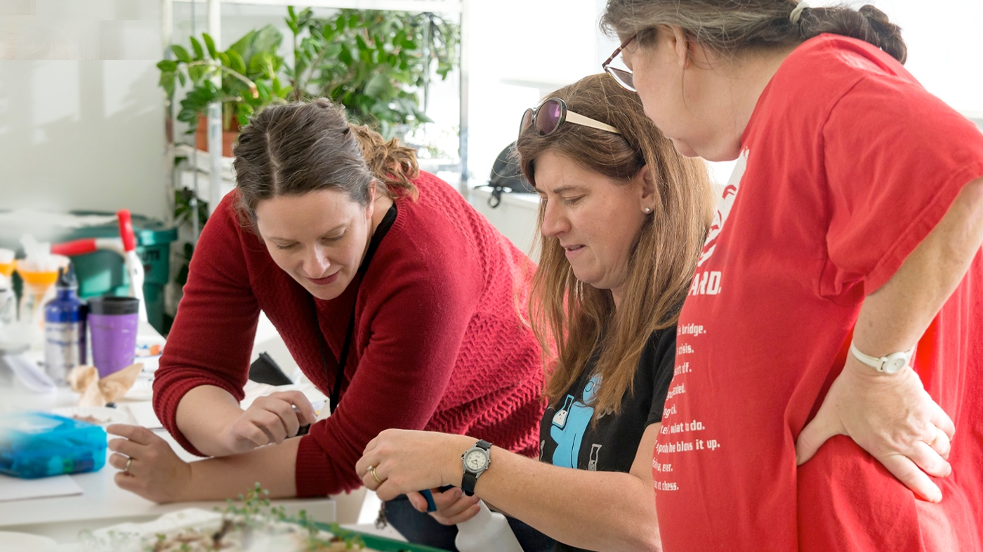 Teacher Professional Development