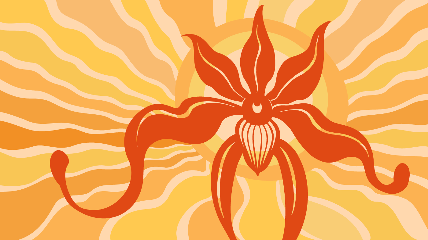 The Orchid Show: Feelin' Groovy