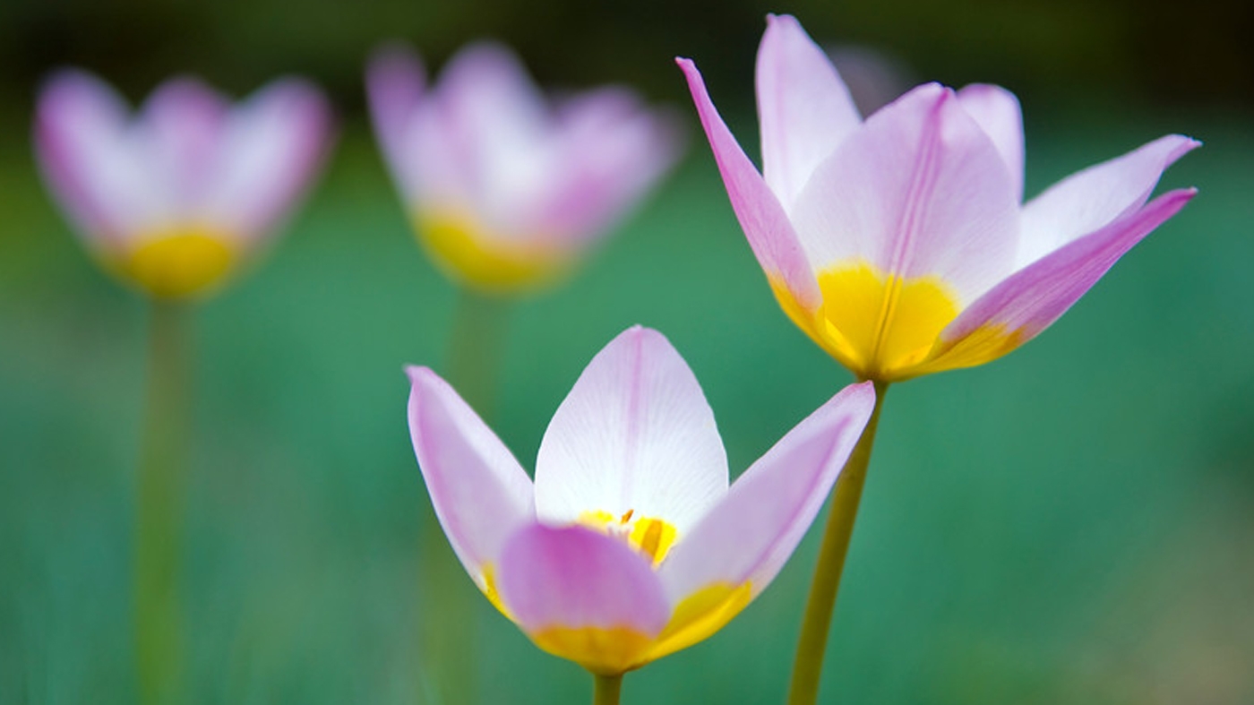 Learning Photography Natural Light