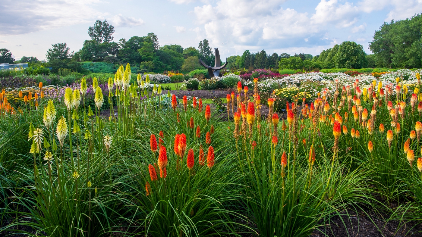 Learning Garden Design General