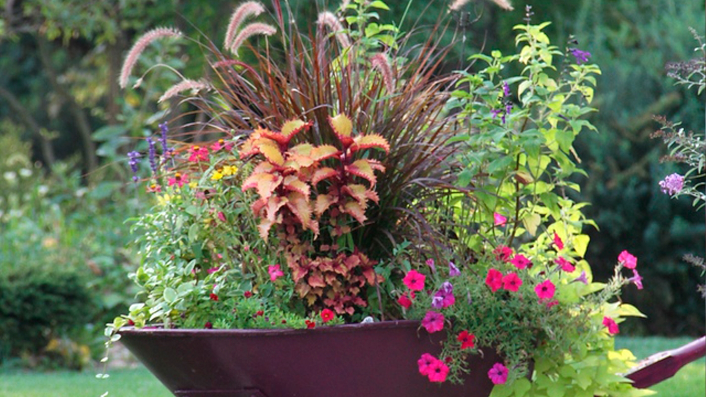 Learning Horticulture Creative Container