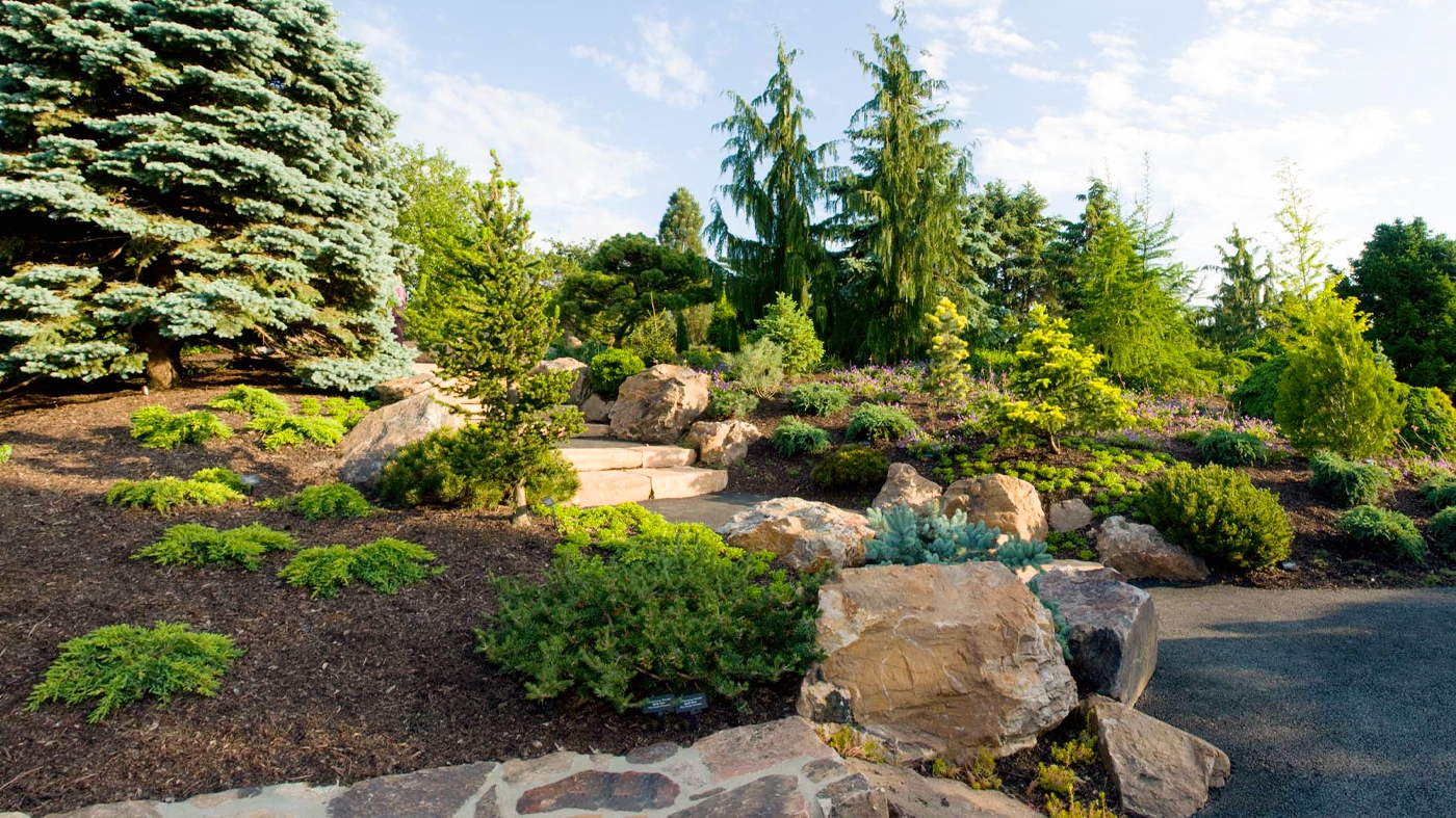 Learning Horticulture Dwarf Conifer Garden