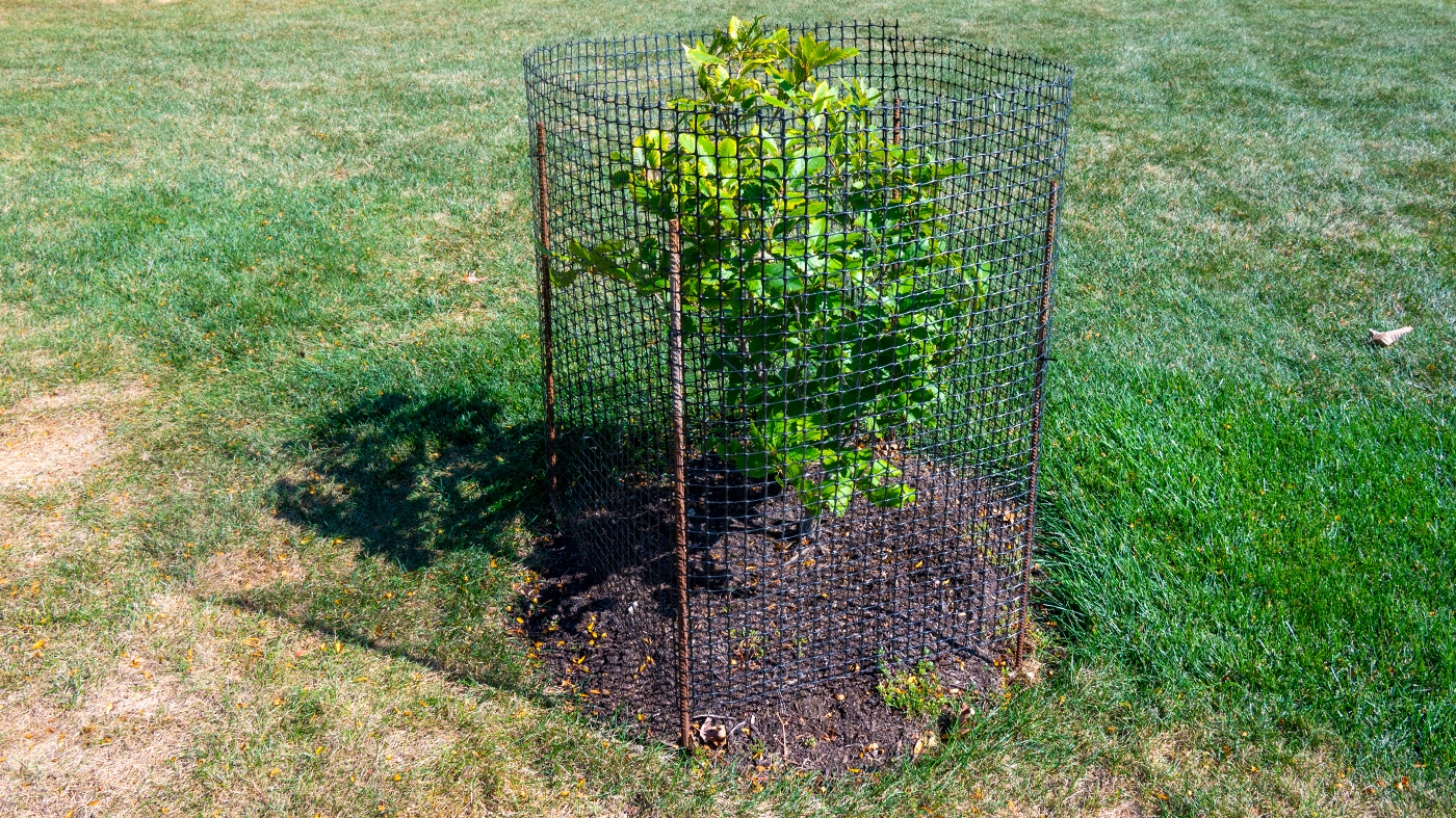 Learning Horticulture Fencing