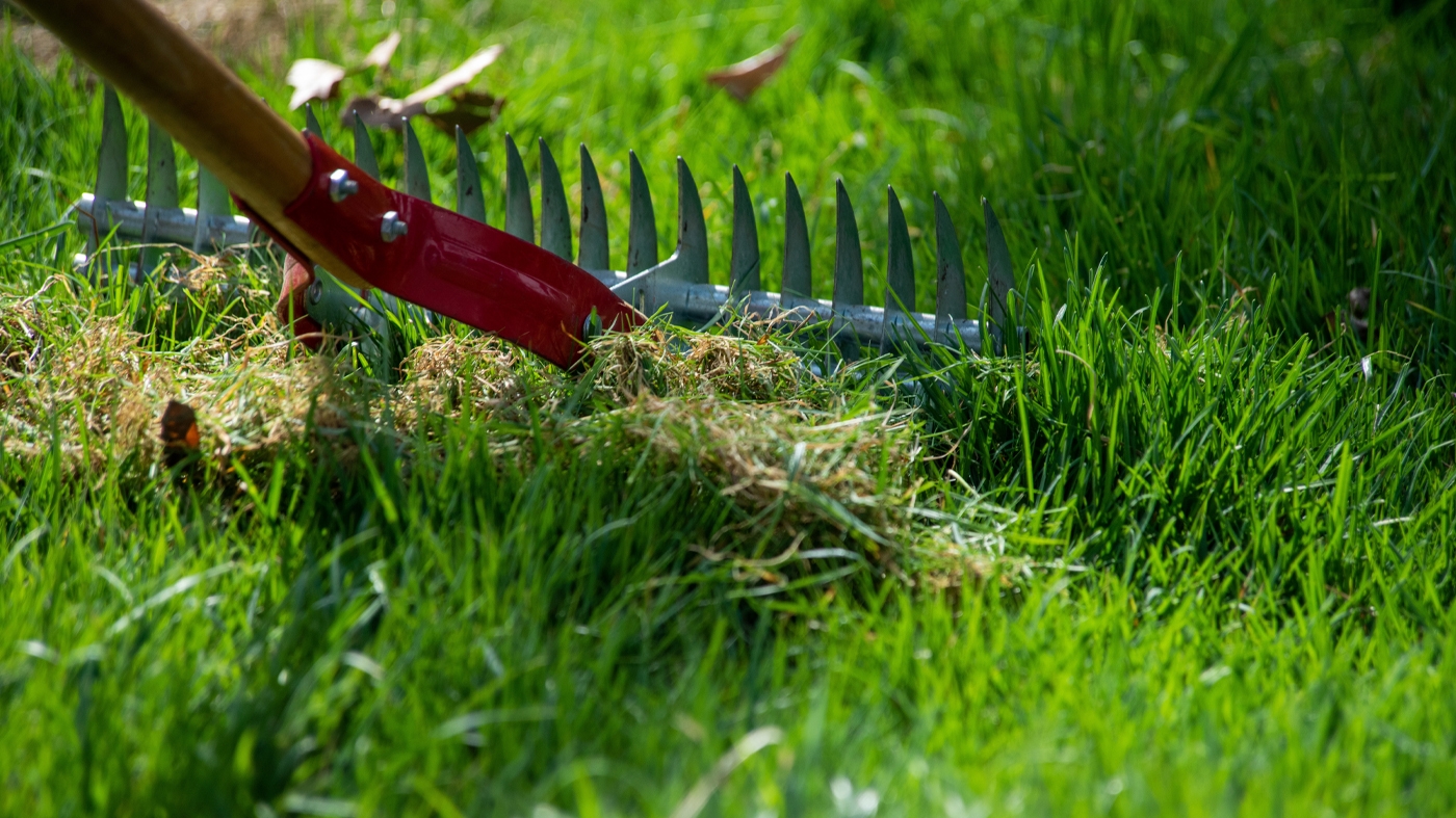 Learning Horticulture Garden Techniques