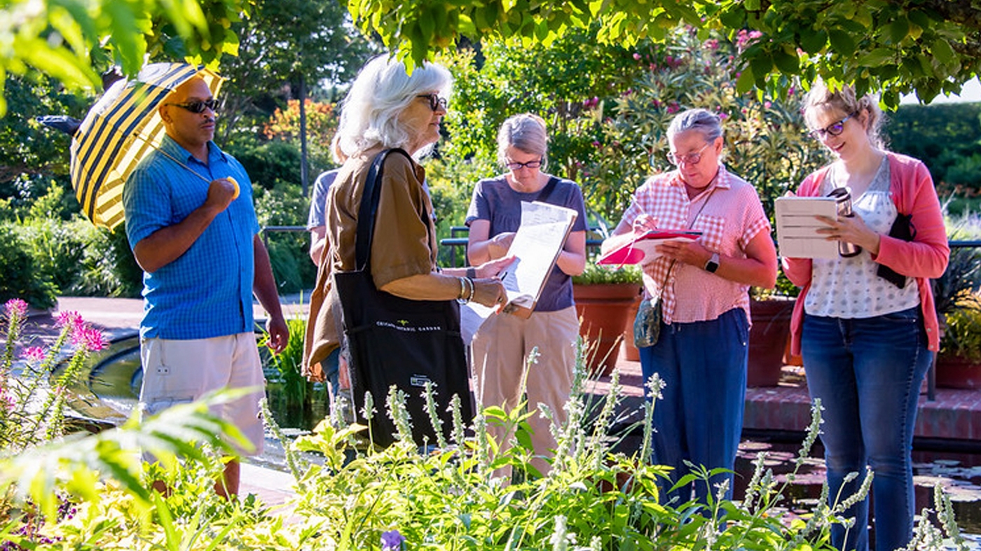 Learning Horticulture Ground Covering