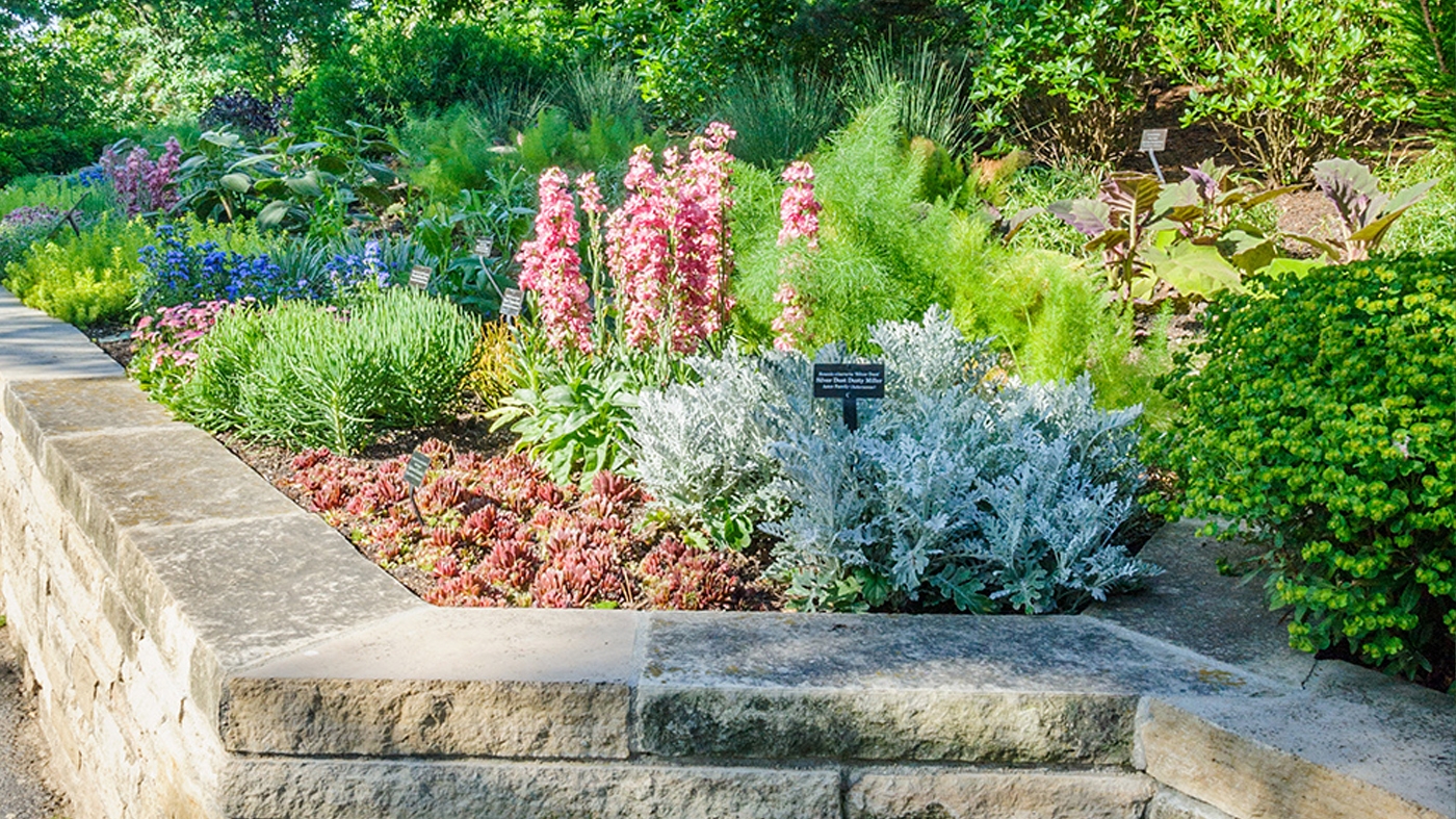 Learning Horticulture Scents