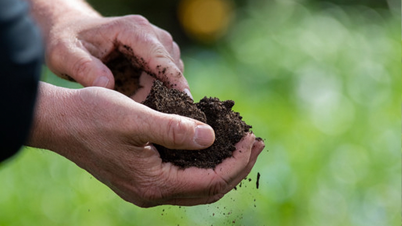 Learning Horticulture Soil