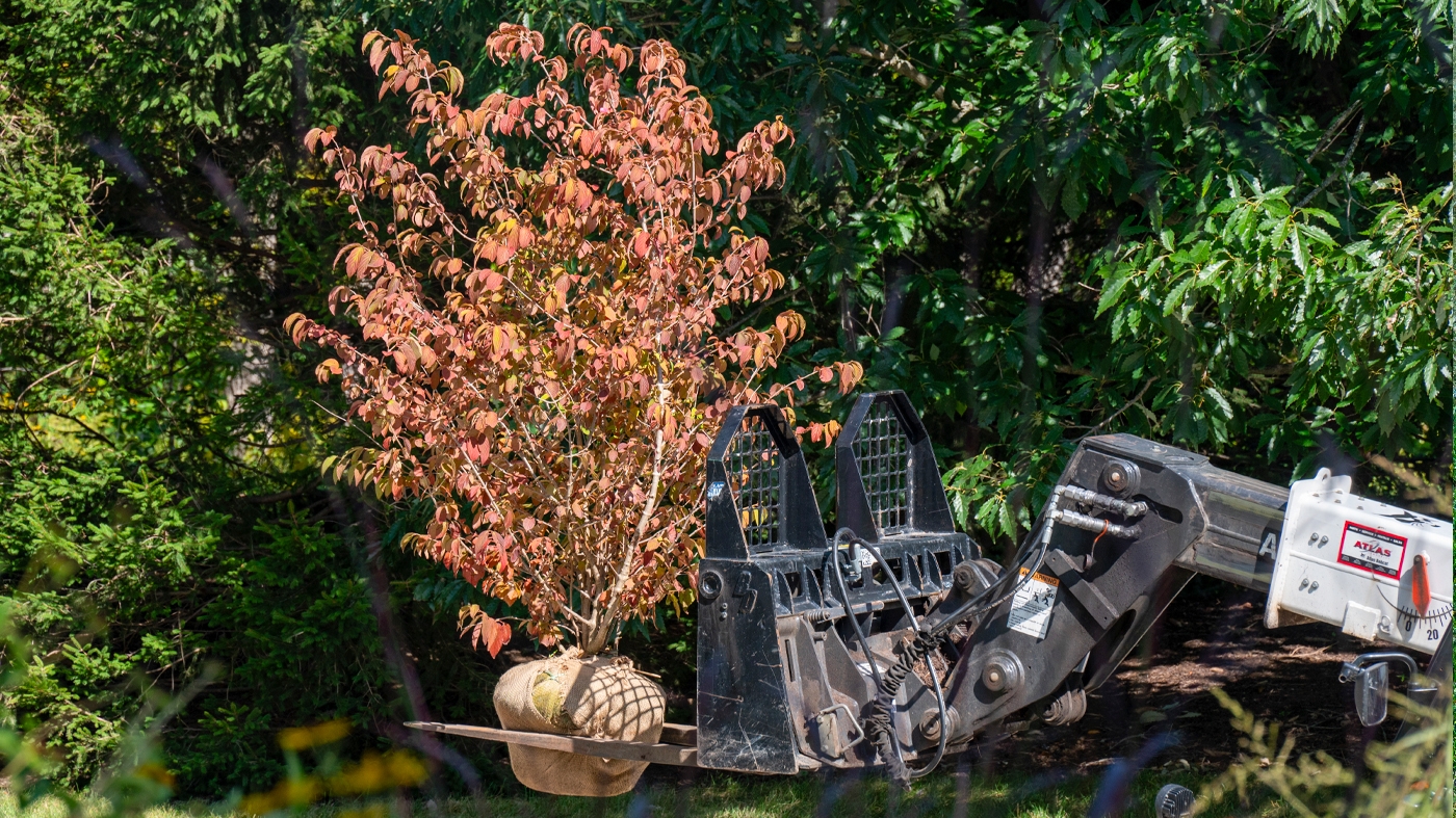 Learning Horticulture Techniques