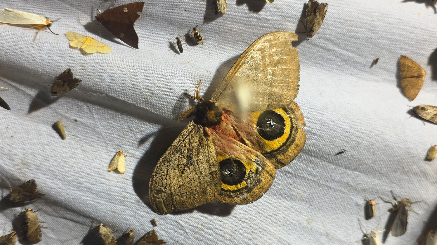 Learning Photography Mothing