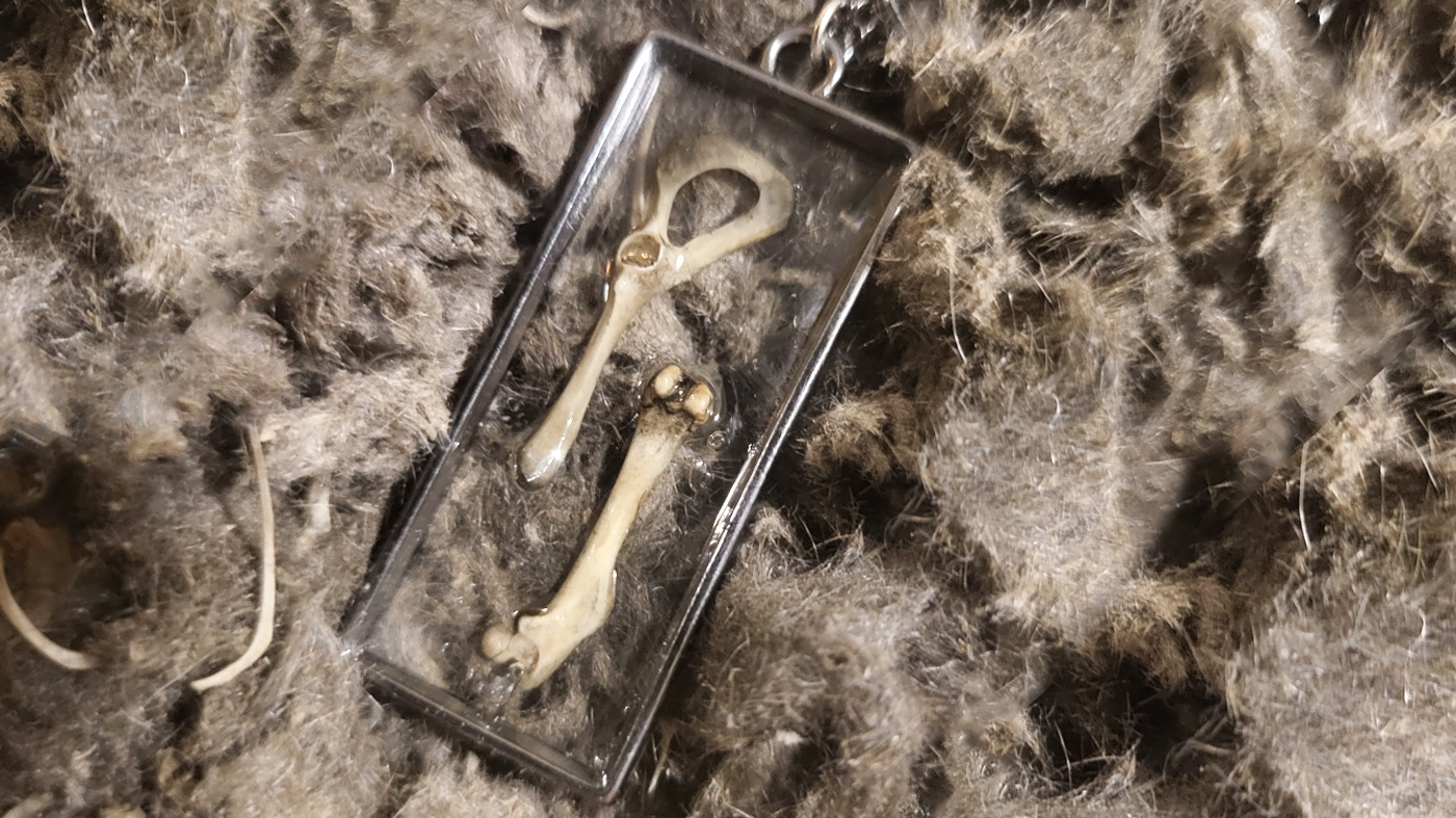 Learning Botanical Arts Resin