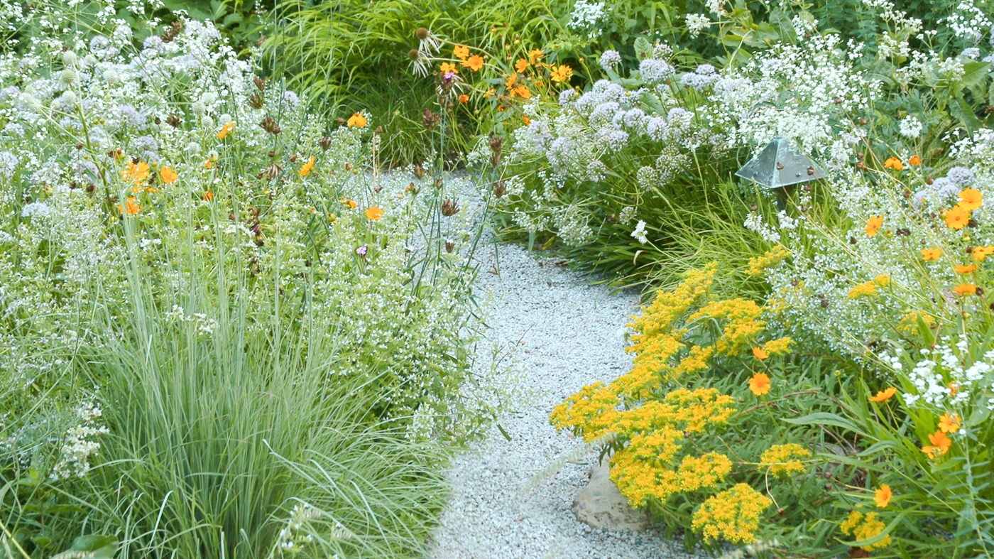 Learning Garden Design Gravel