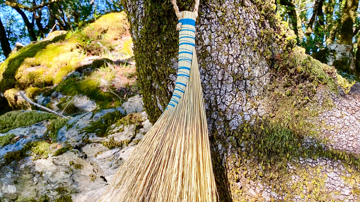 Learning Botanical Arts Broom Weaving