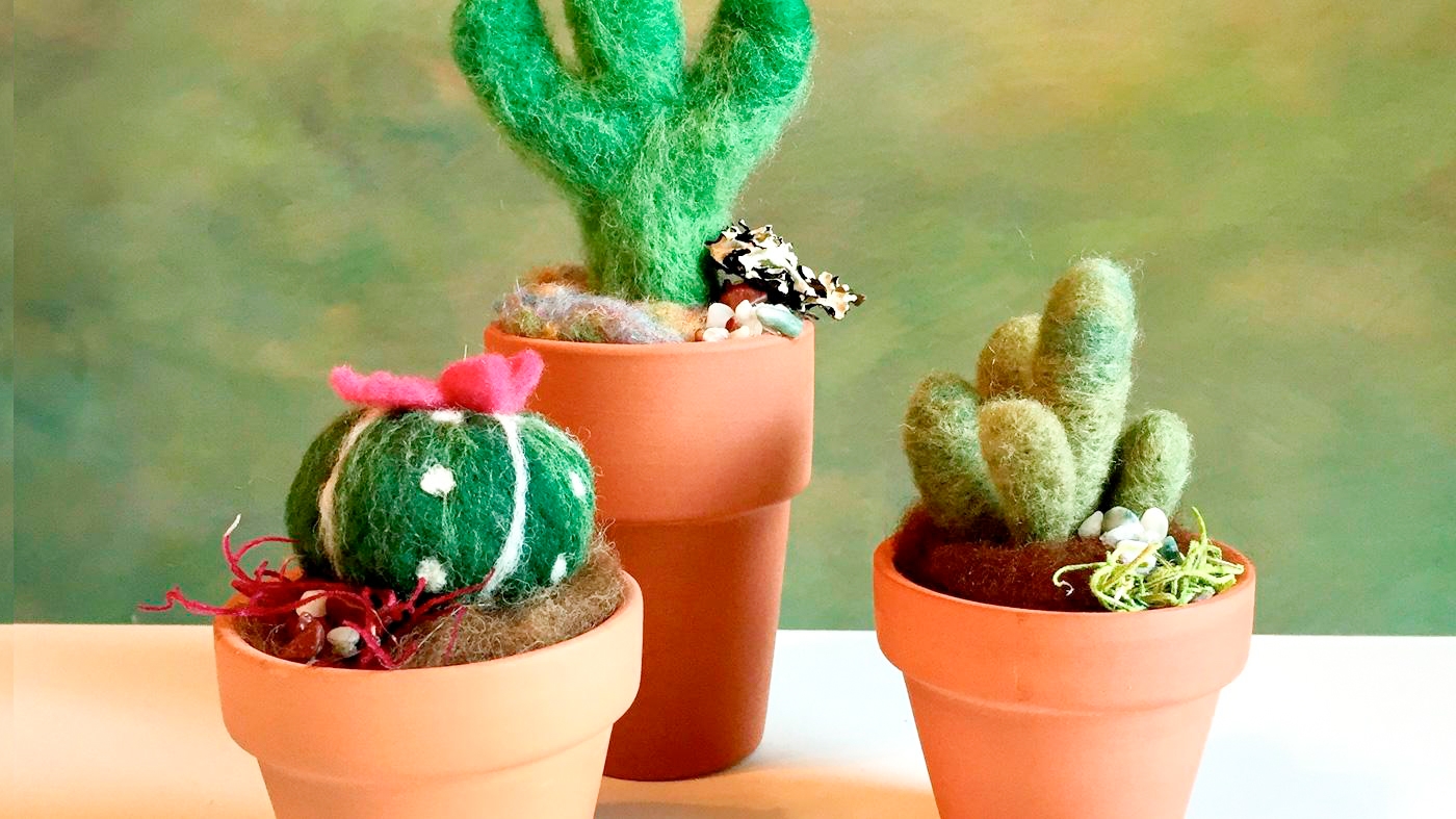 Learning Botanical Arts Felt Succulents