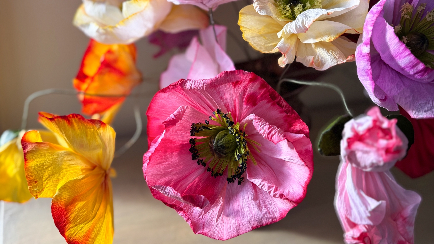 Learning Botanical Arts Paper Flowers