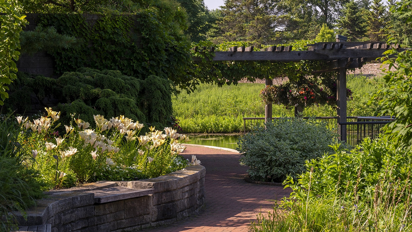 Bulb Garden - Summer