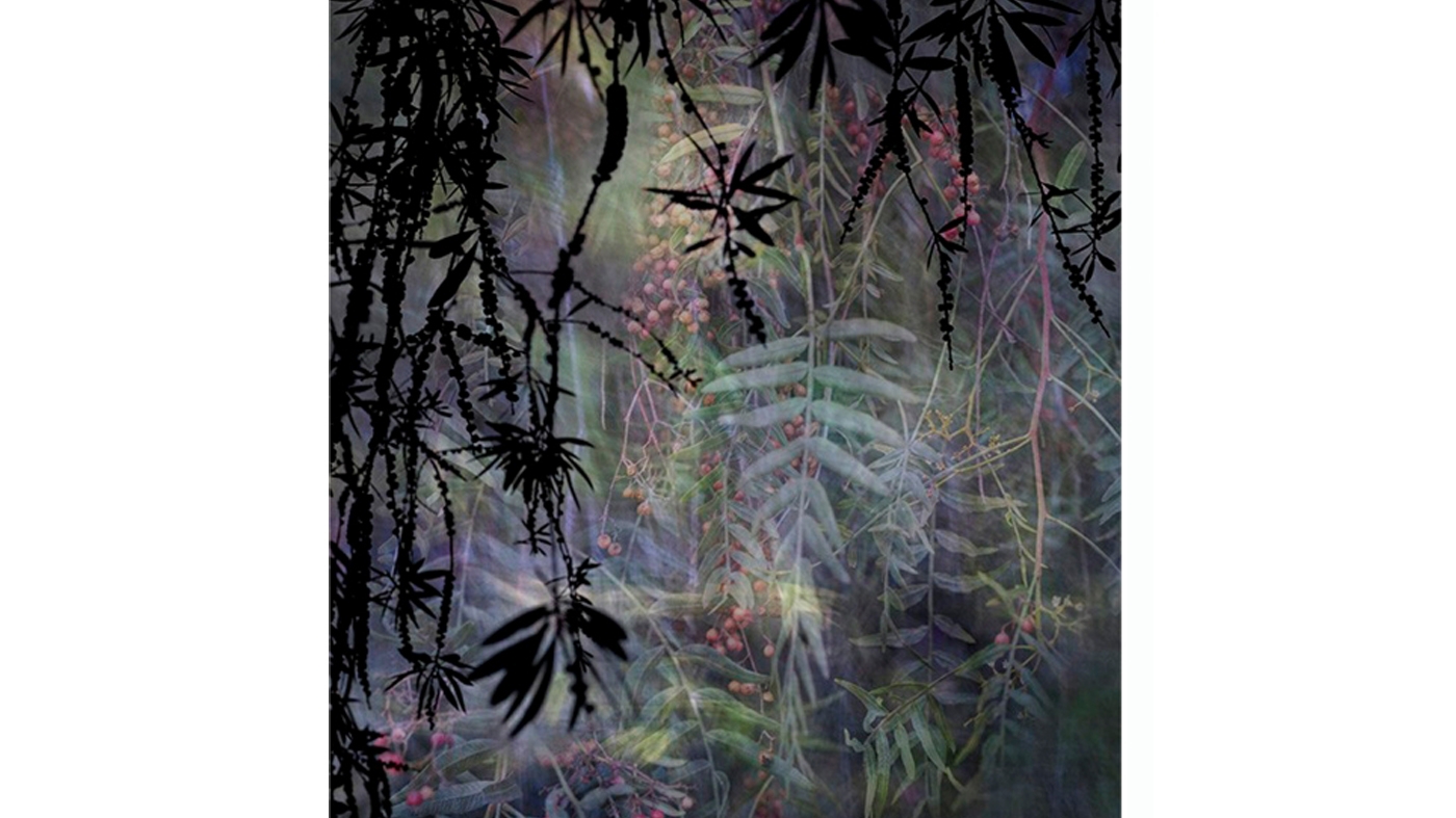 learning photography movement