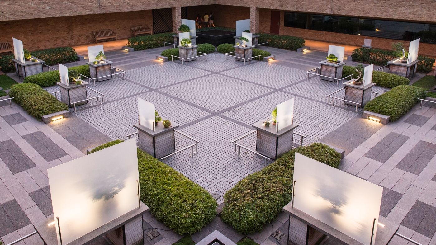 bonsai-courtyard
