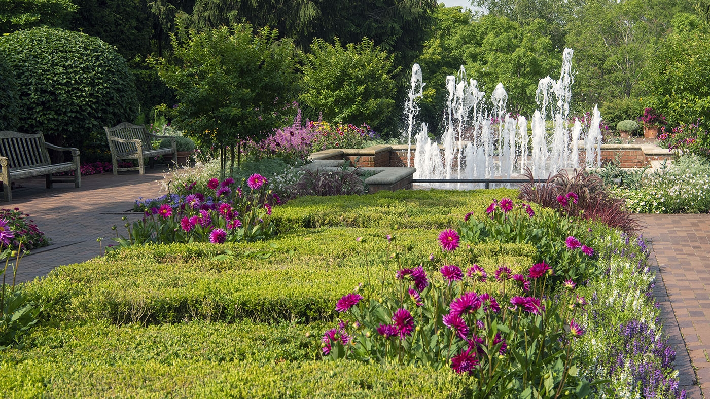 Circle garden summer