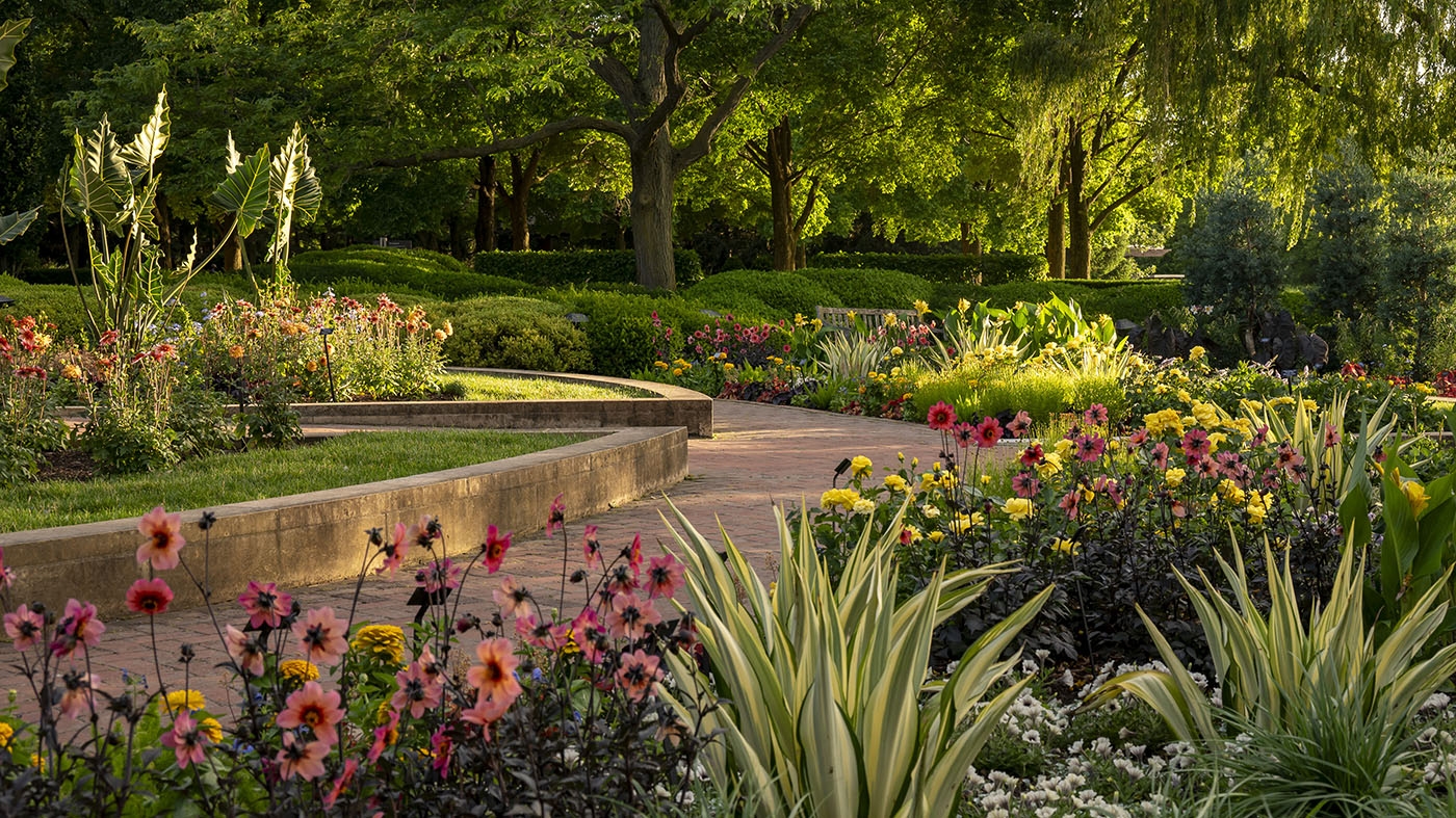 Crescent garden summer