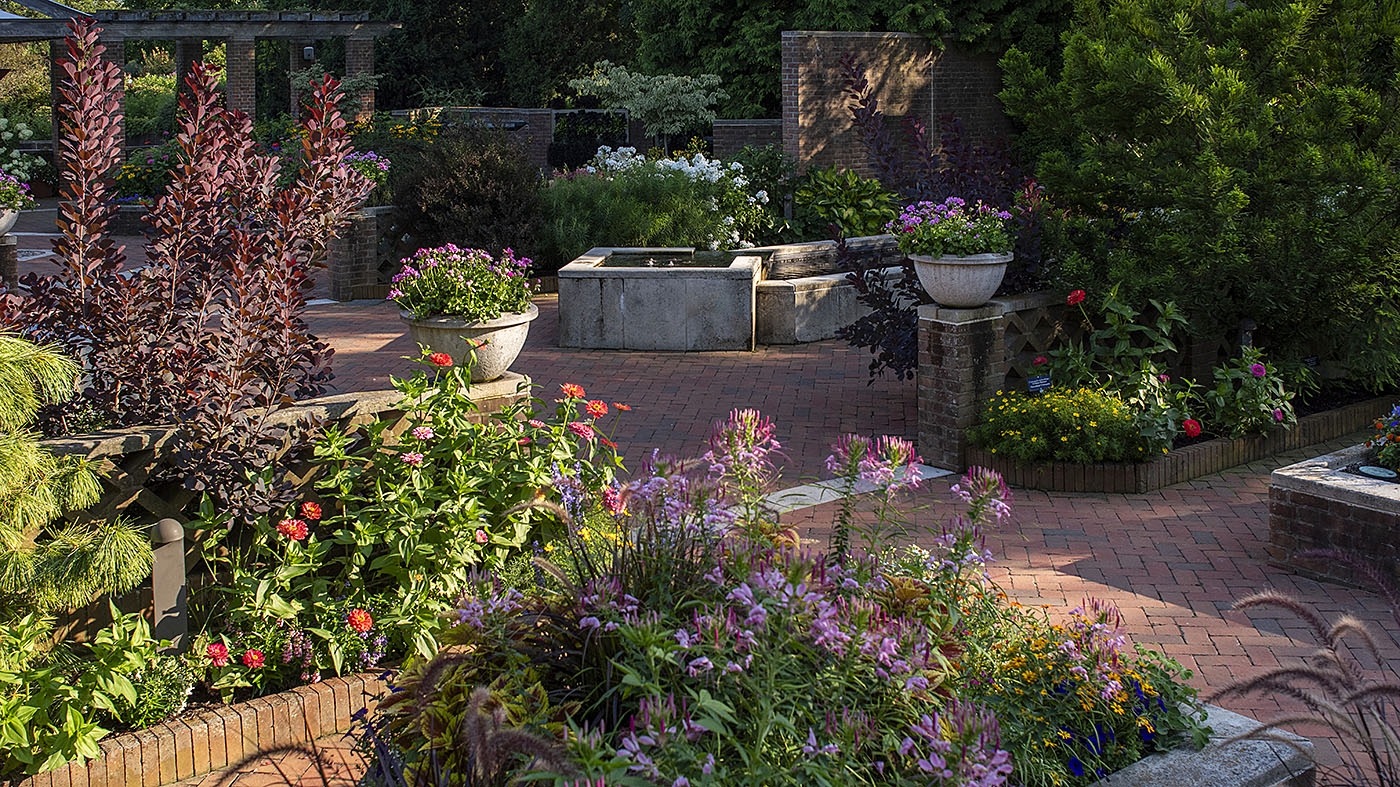 Enabling Garden summer