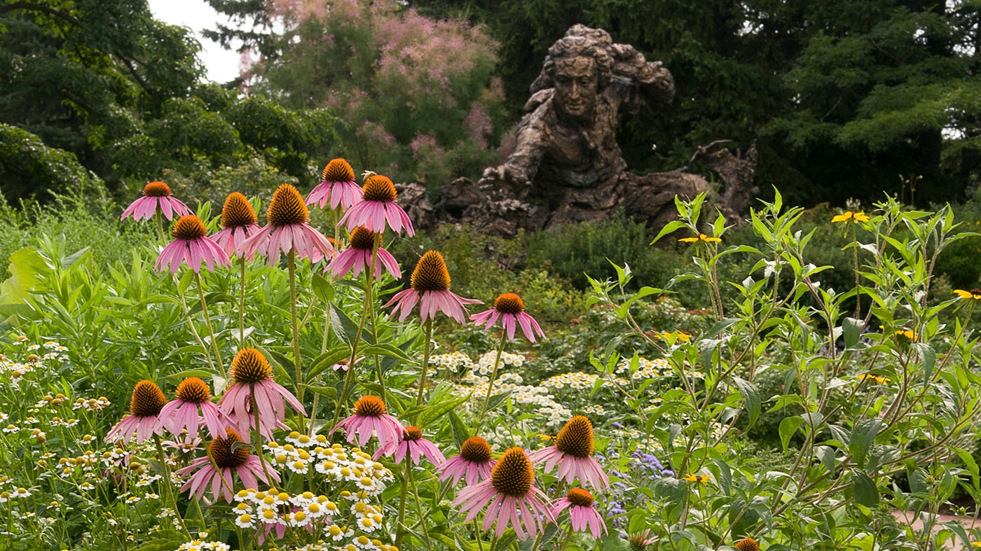 Heritage garden summer