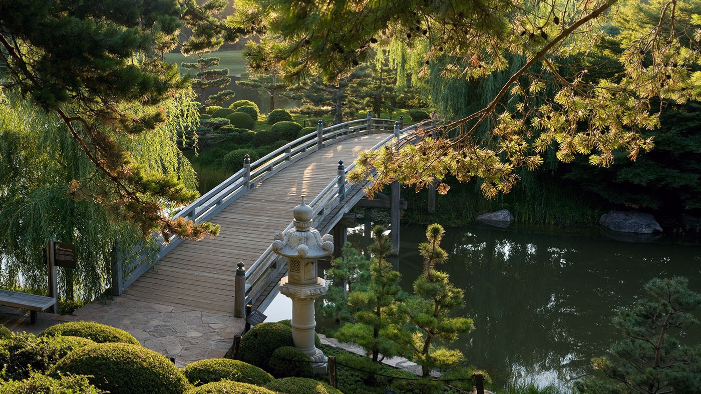 Japanese Garden summer