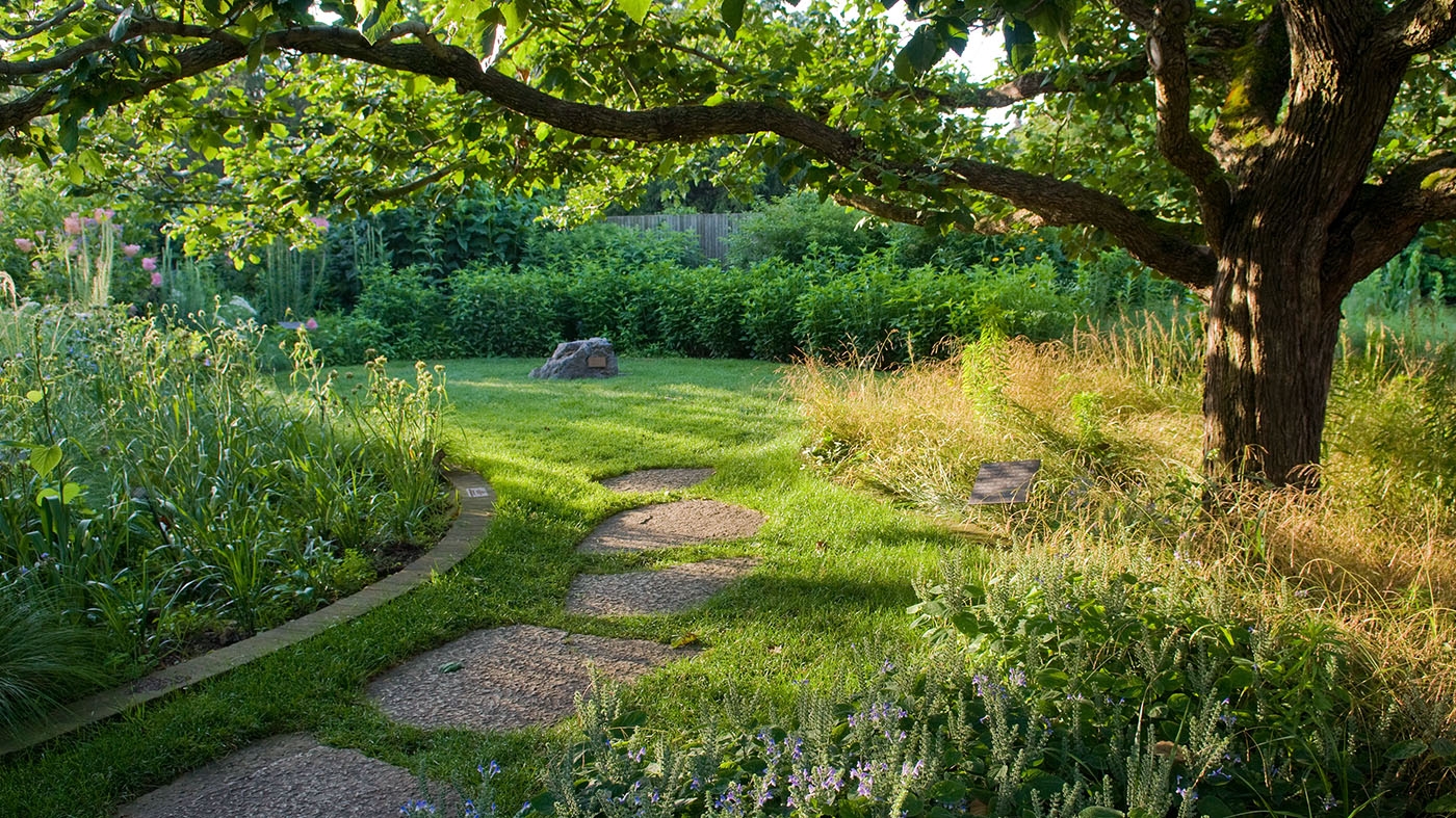 Native Plant Garden summer