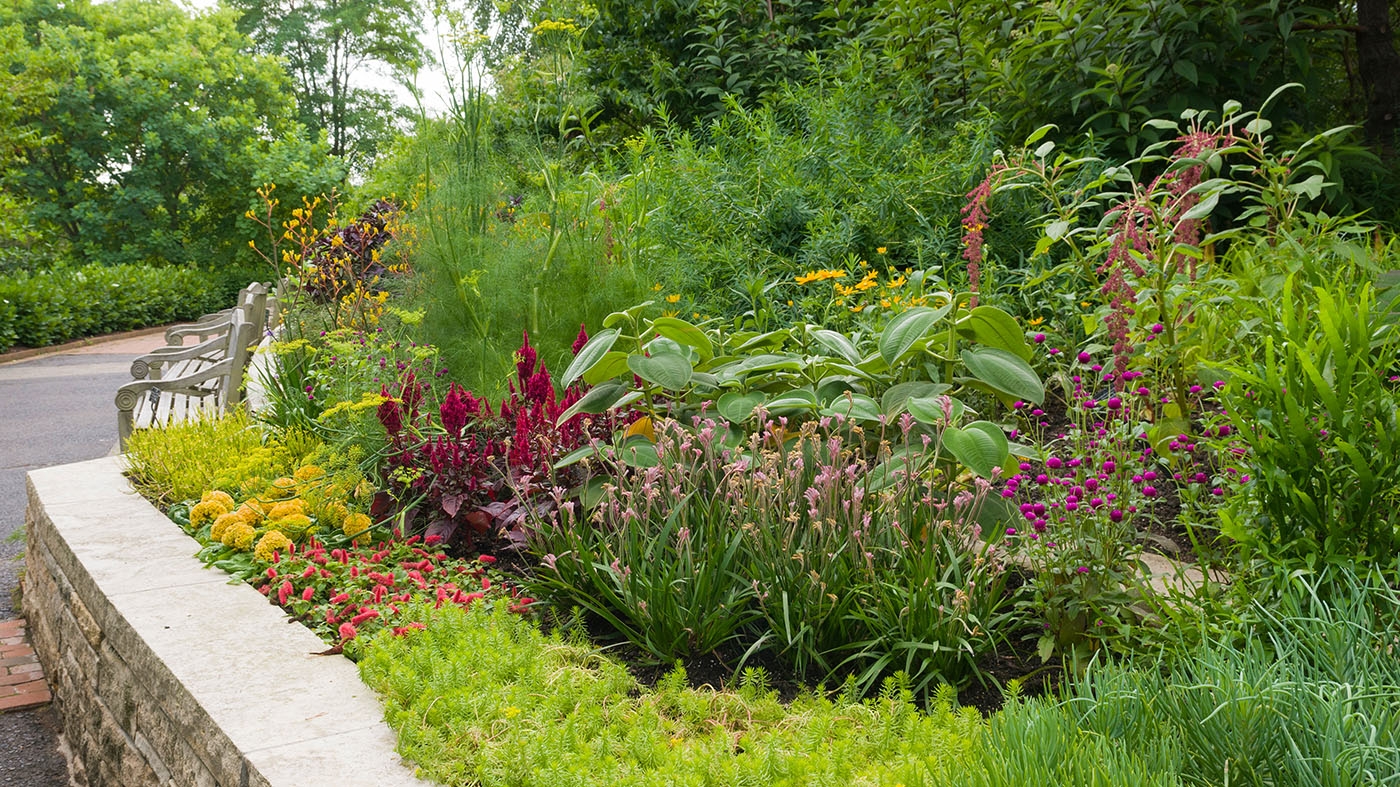 Sensory Garden summer