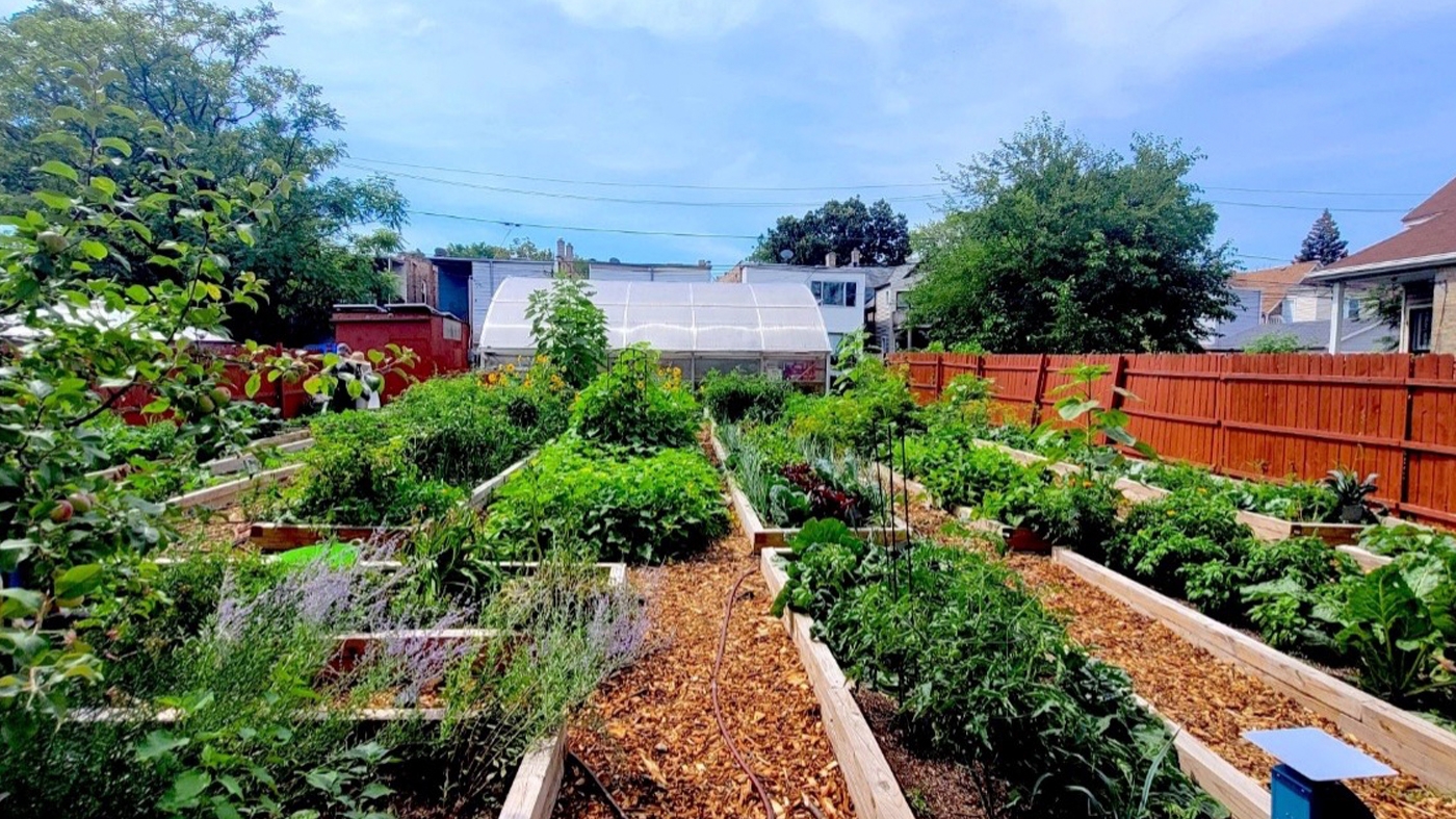 The Fulton Street Flower and Vegetable Garden