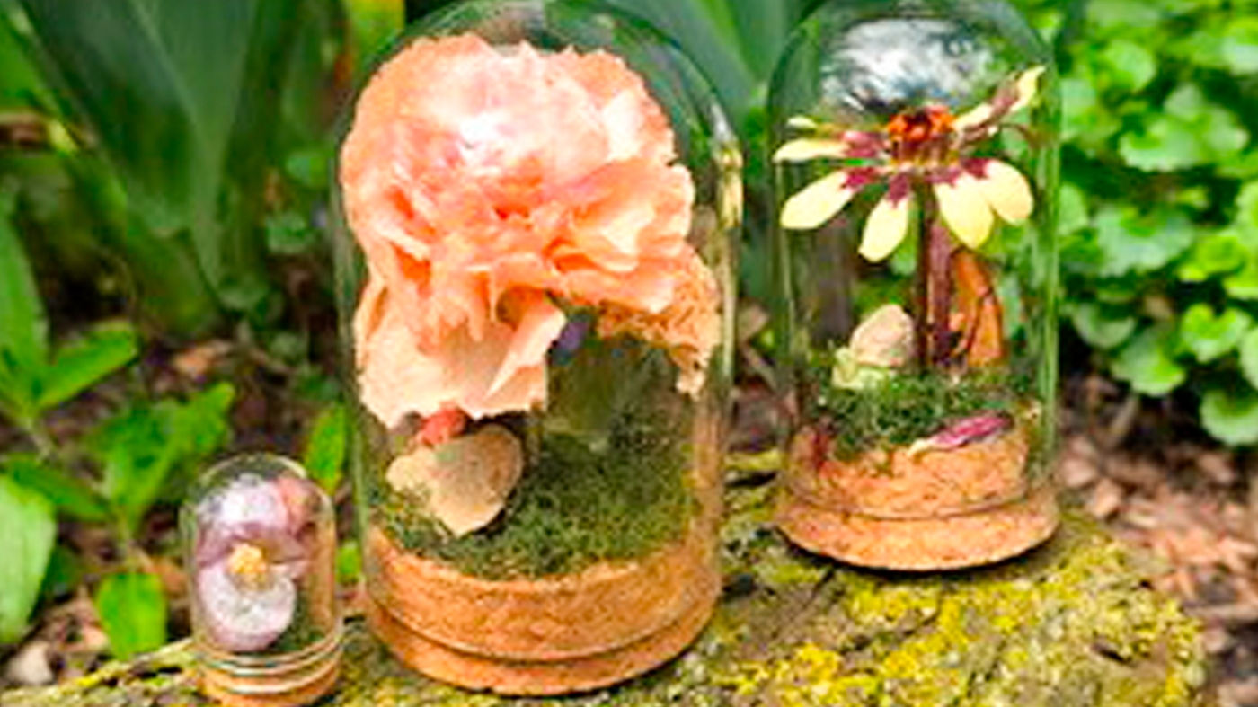 Learning Botanical Arts Terrarium