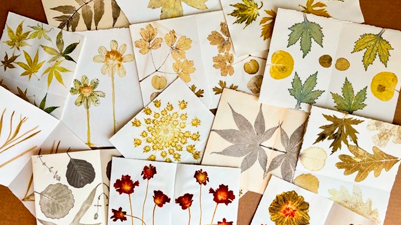 Learning Botanical Arts Papers
