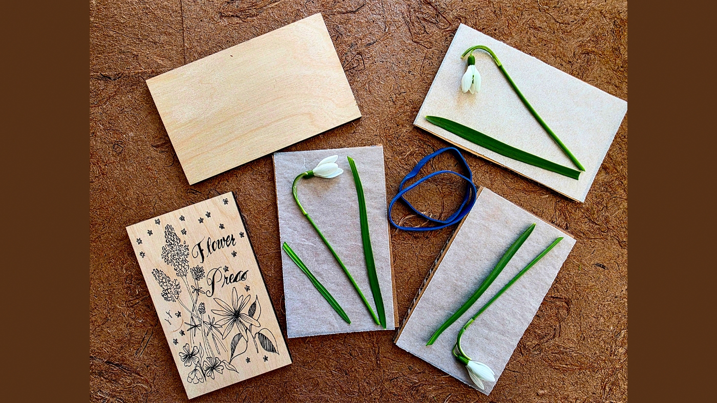 Learning Botanical Arts Pressed Flowers 