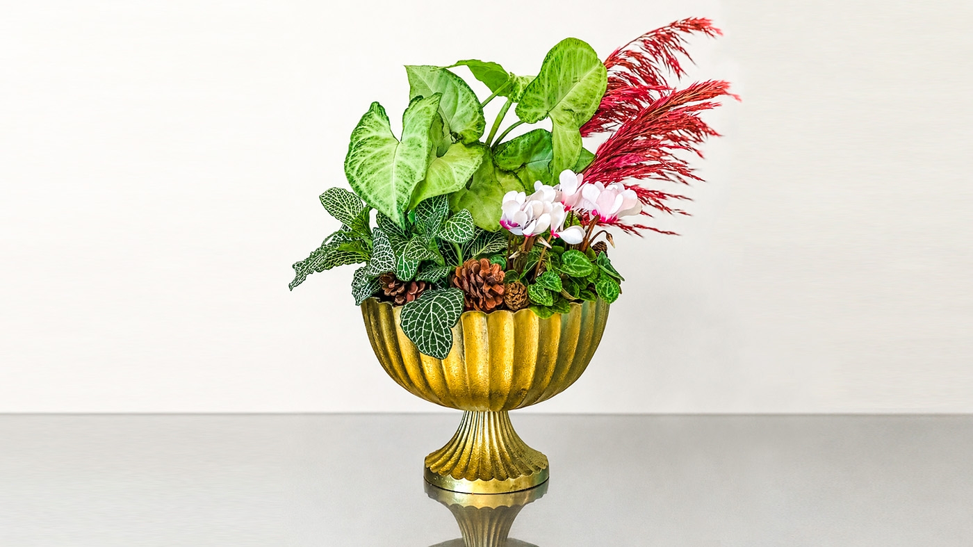 Learning Horticulture Holiday Bowl 