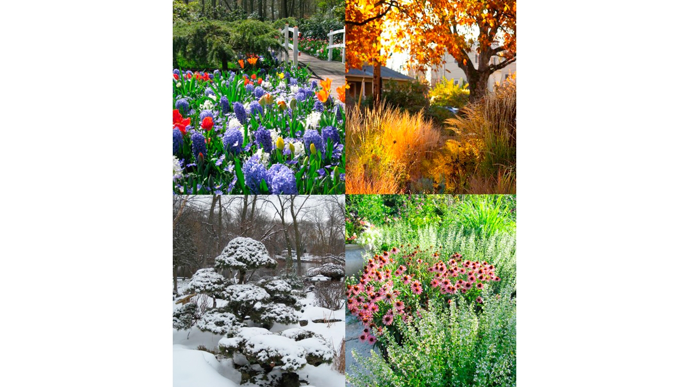 Learning Garden Design Four Seasons