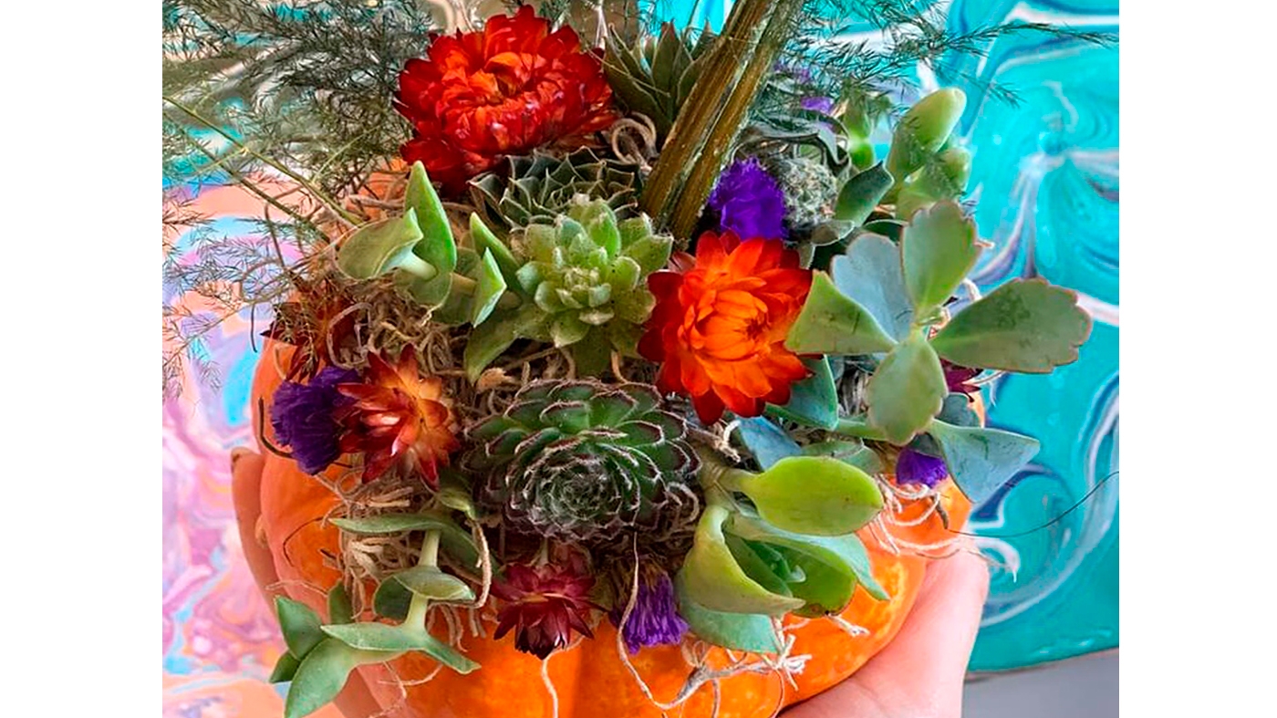 Learning Horticulture Succulent Centerpiece